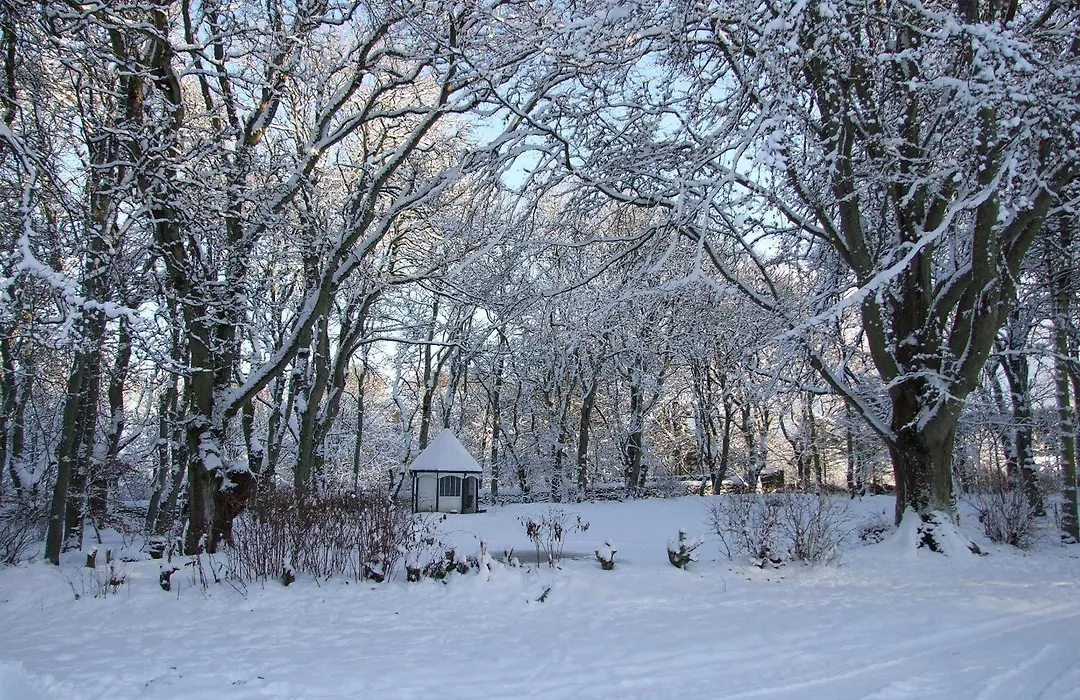Thrumster House-1